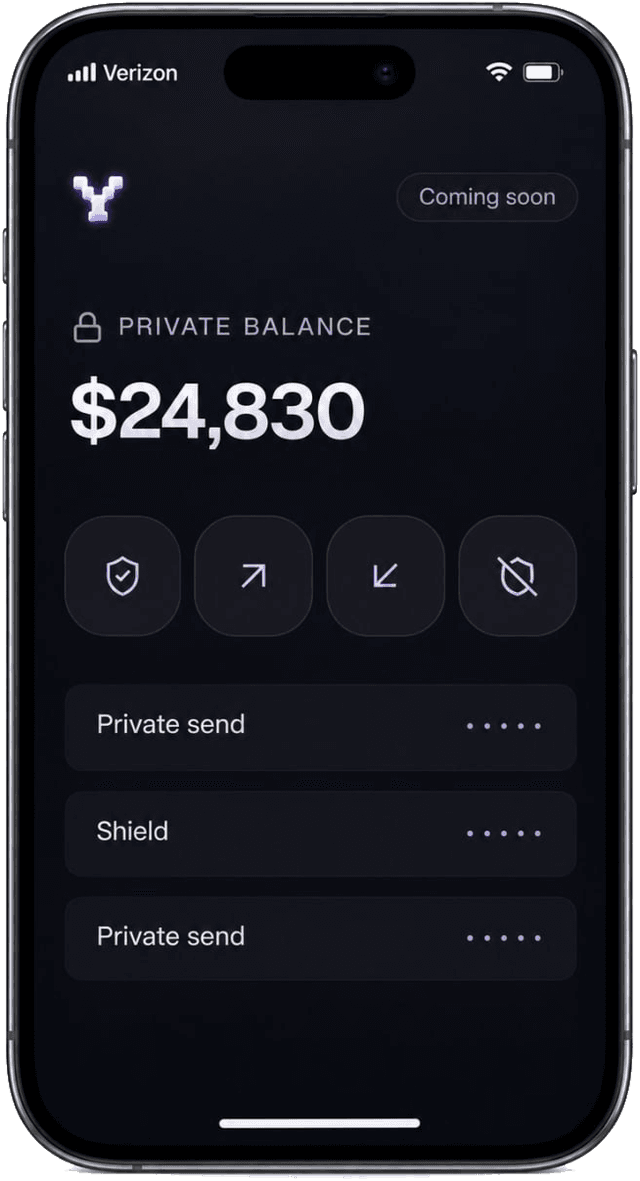 The Yinsi app on a phone, showing a private balance and recent private activity